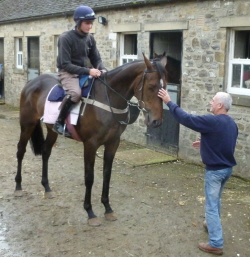 photo of Andy checking Theo before his work on the gallops
